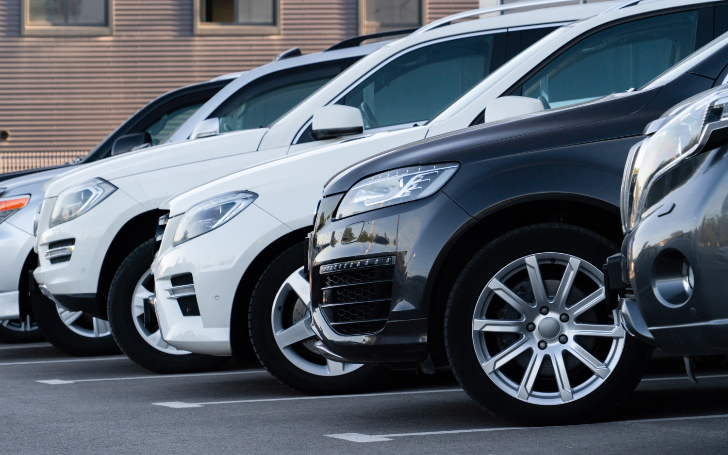2.Member of All Domestic Auto Auctions